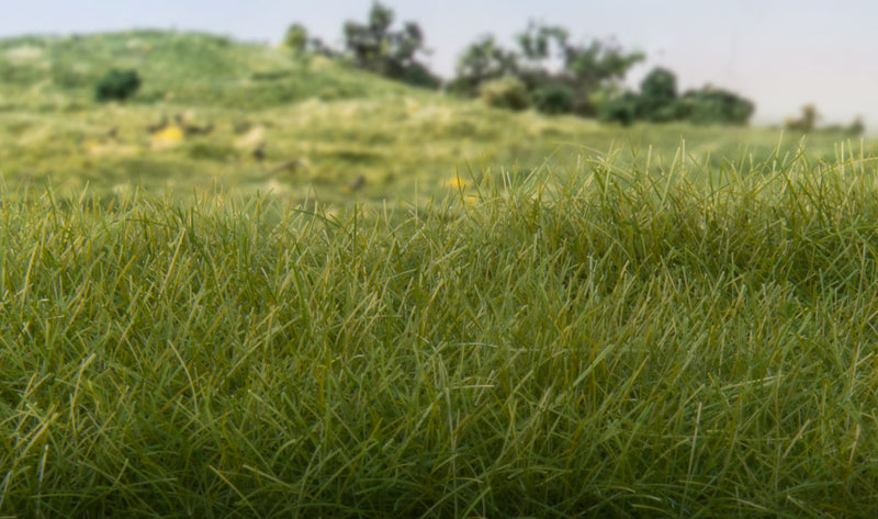 Statisches Gras (Static Grass) Dunkelgrün in verschiedenen Längen