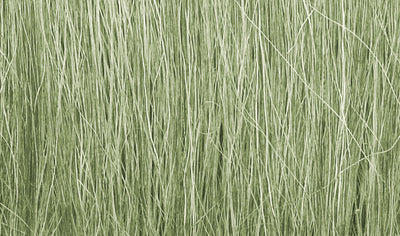 Feldgras / Field Grass - Hellgrün FG173