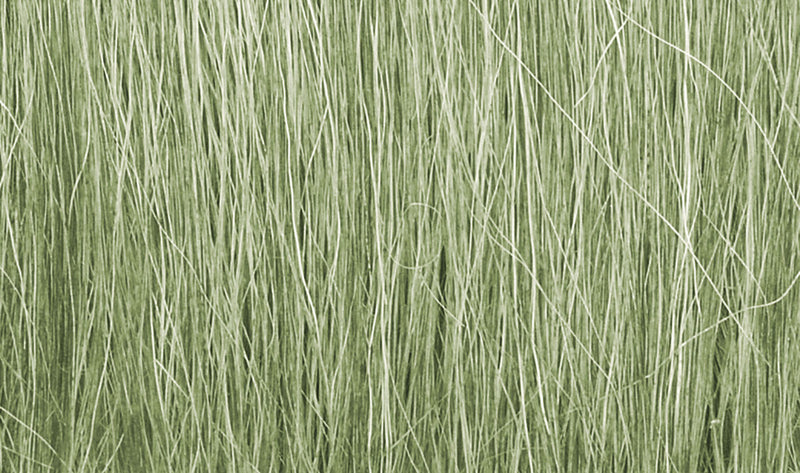 Feldgras / Field Grass - Hellgrün FG173