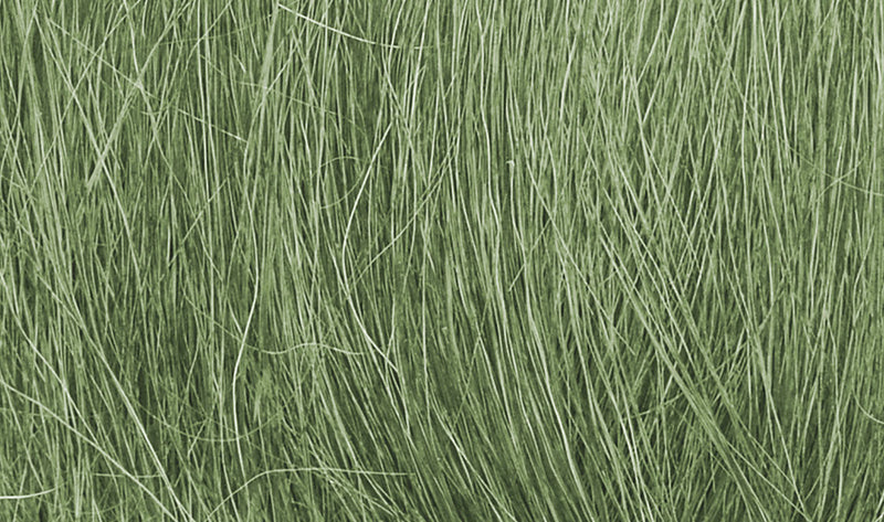 Feldgras / Field Grass - Mittelgrün FG174